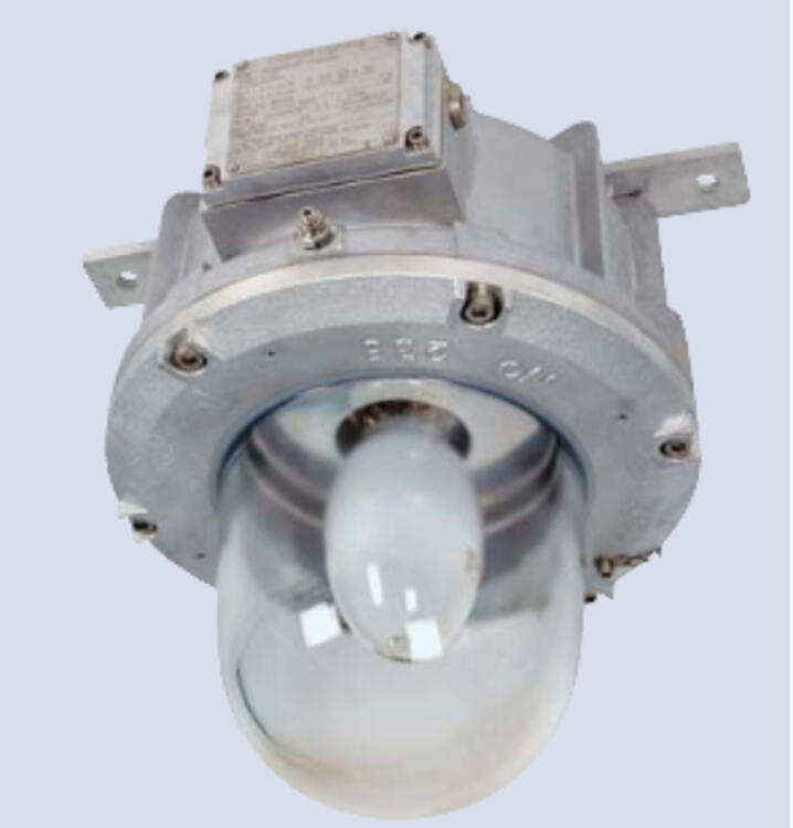 238 Wellglass,250W HPS/MH, Z1&Z21