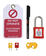 Basic Lock Out Kit