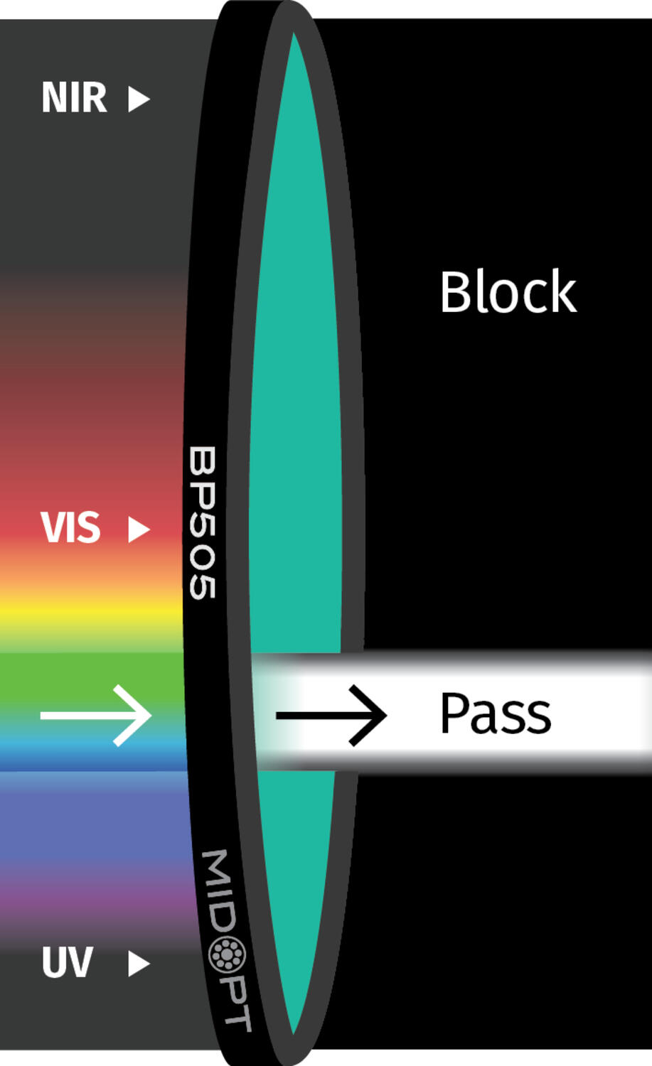 BP505.png