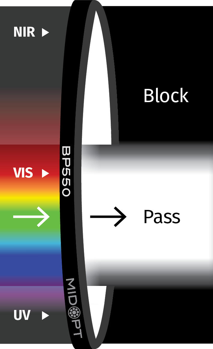BP550.png