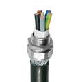 BW20 Industrial Cable Gland