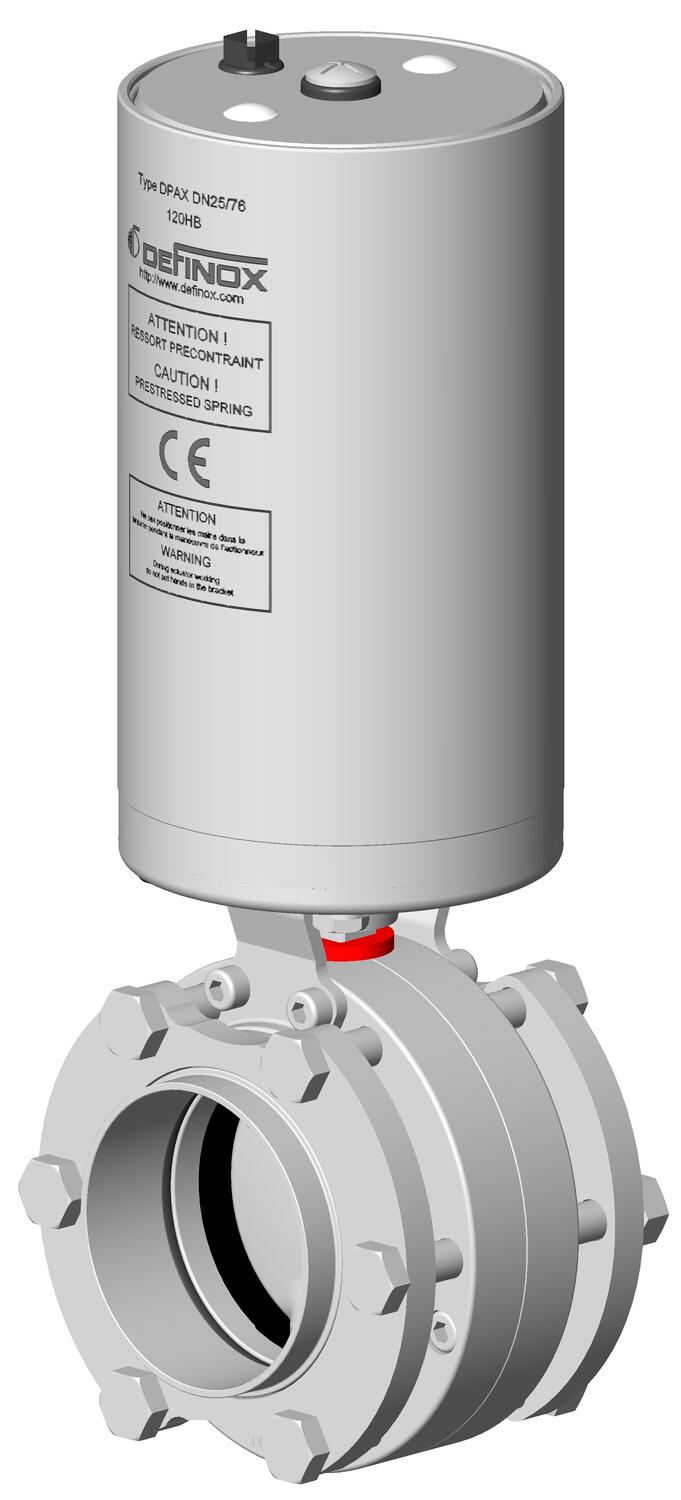 C - DPAX flanges.JPG