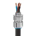 CW20 Industrial Cable Gland