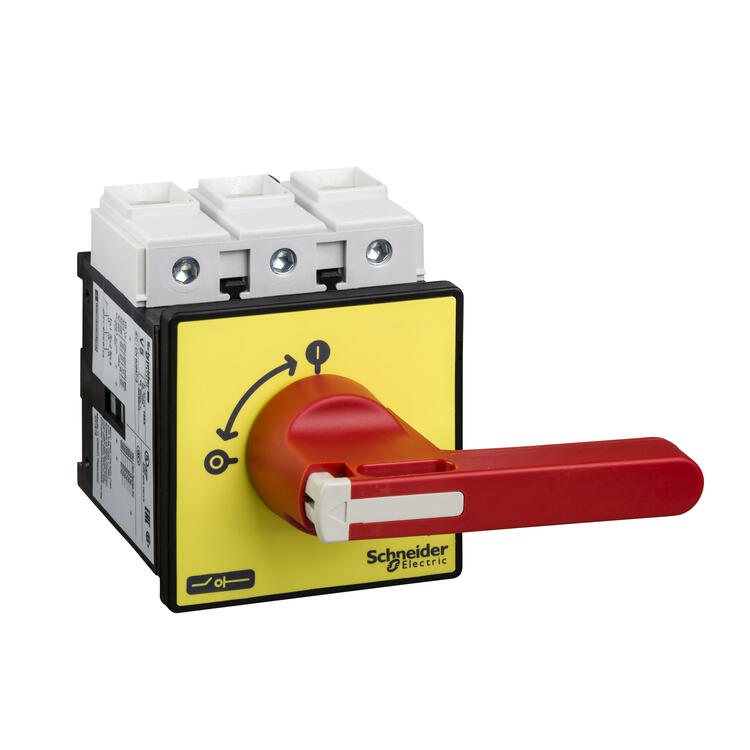Isolator Pnl/Din Mtd 125a 3 Pole