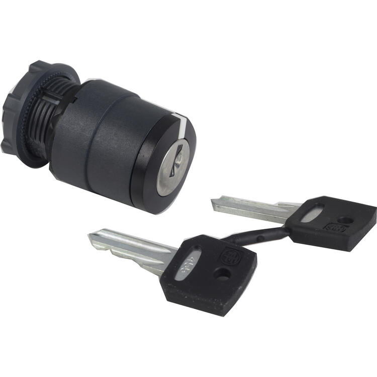 Key Switch Head 2 pos Stay put Remove in L