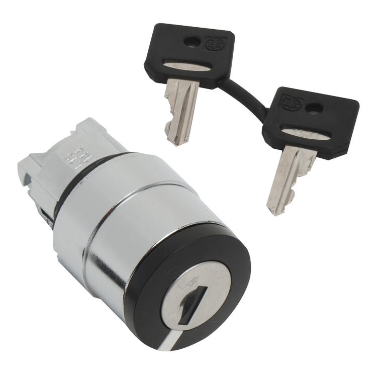 Key Switch Head 2 pos Stay put Remove L 421E