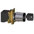 Key Switch metal 2 pos 1 N/O Remove L
