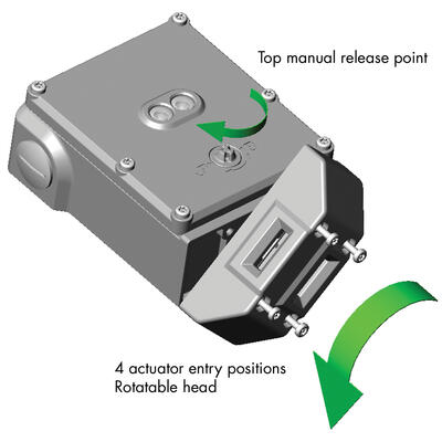 KLT-SS Head Rotation.tif