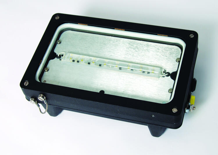 NEXLED 2 X 1W LED BULKHEAD Z1&21