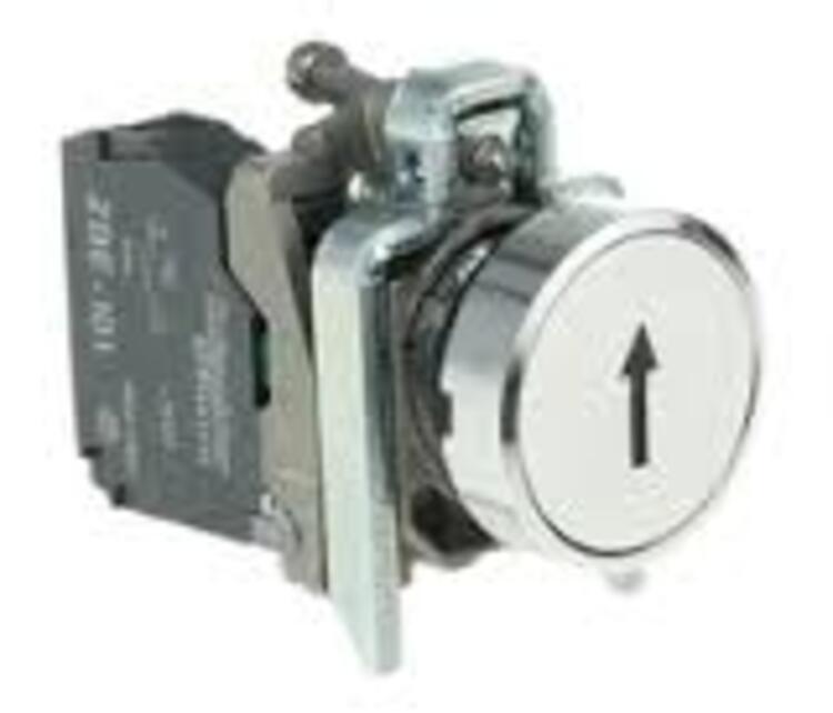 Pushbutton Flush 1 N/O White (Black Arrow)