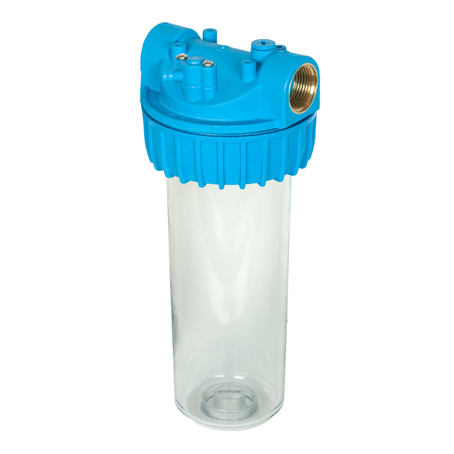 Whale 10_Single_hero.tif